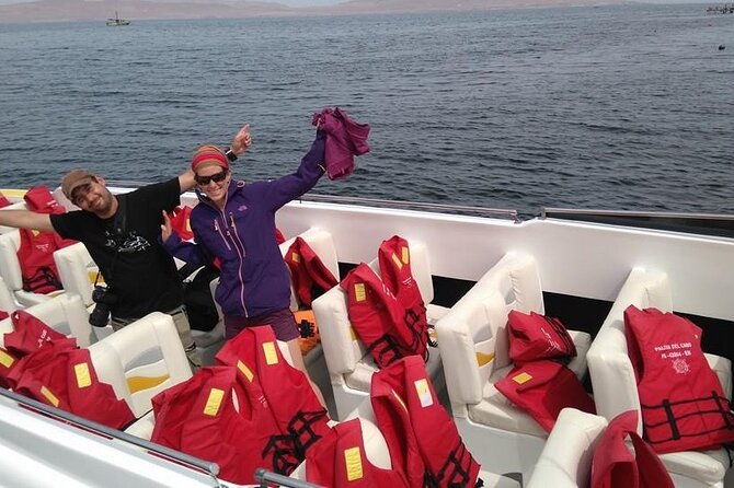 nazca-lines-and-paracas-tour-full-day-organized-from-lima