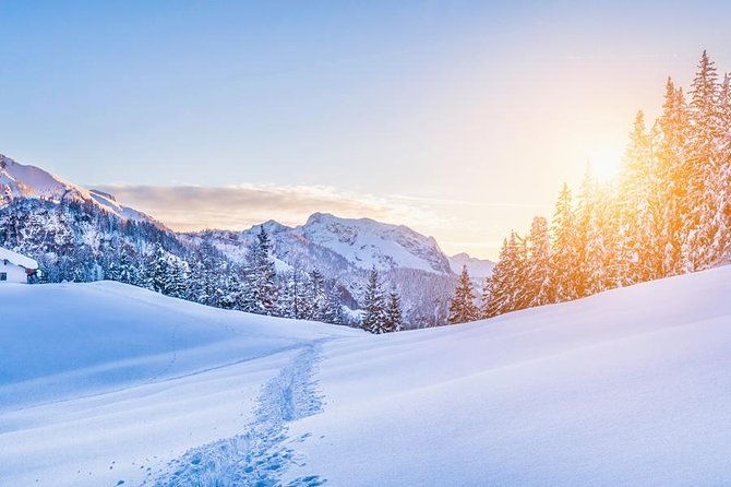 new-fiat-500x-suv-rental-all-day-2