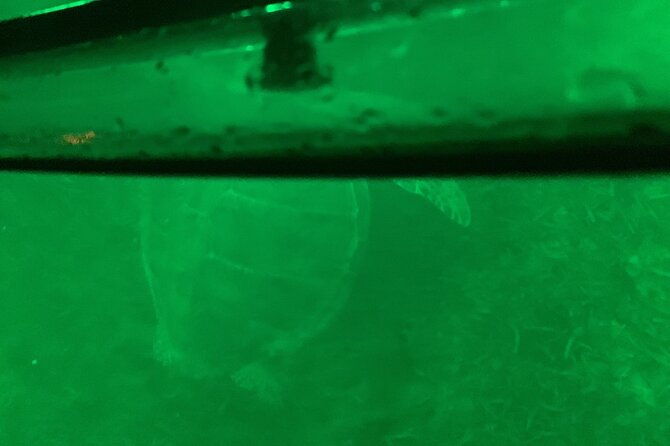 night-kayaking-with-liquid-glow