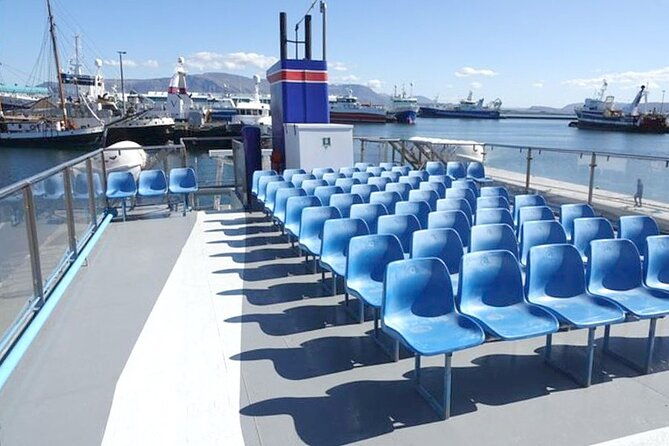 northern-lights-boat-cruise-from-reykjavik-2