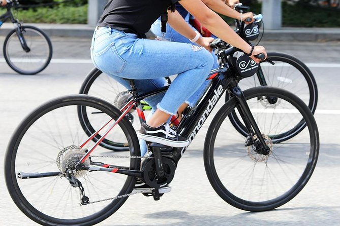 nyc-central-park-and-lower-manhattan-electric-bike-rentals