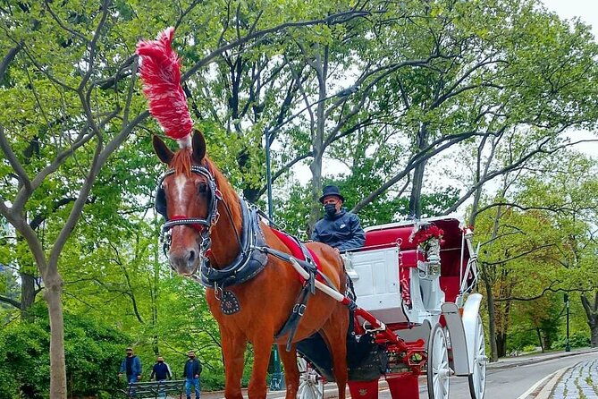nyc-central-park-horse-and-carriage-ride-long-ride-45-min