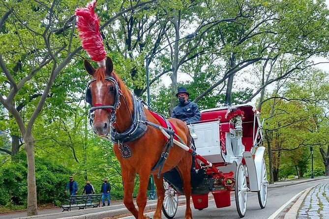 nyc-central-park-vip-horse-and-carriage-ride