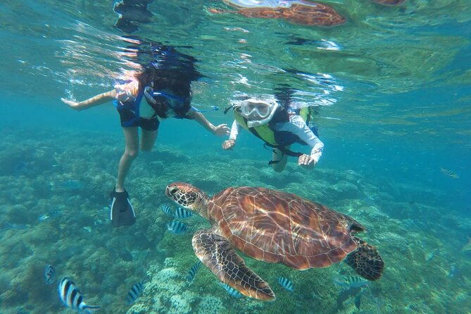 oahu-coastline-cruise-turtle-snorkeling-and-jumping-platform-2