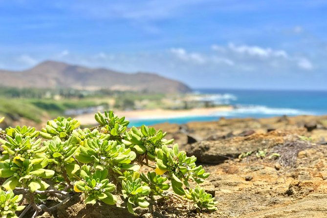 oahu-custom-private-circle-island-and-mini-circle-island-tours-2