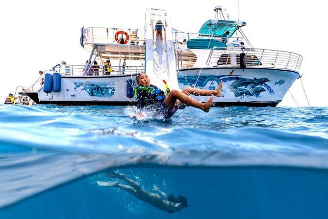 Oahu Dolphin Watch With Turtle Snorkel & Water Slide