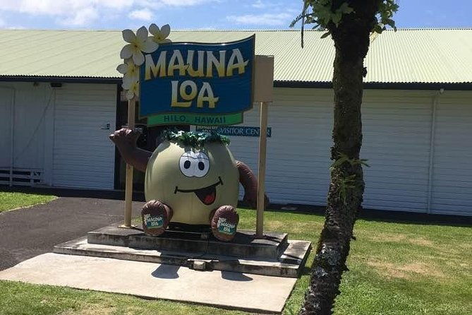 Oahu to Big Island : Big Island Volcano Helicopter Tour & Hilo 1 Day Tour