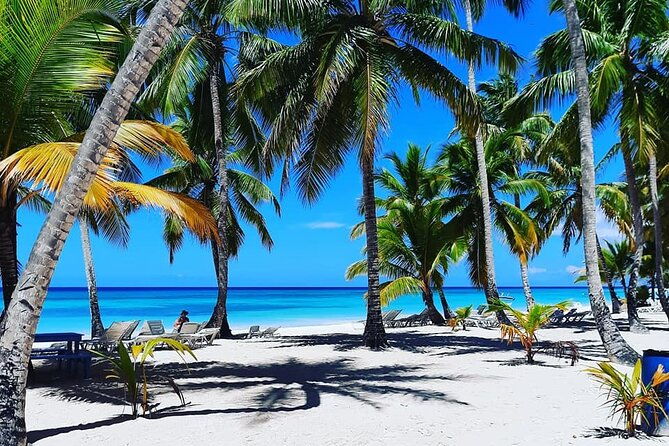 ocean-el-faro-resort-round-trip-shuttle-punta-cana-airport