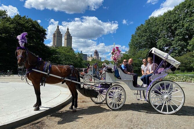 official-nyc-central-park-horse-carriage-rides