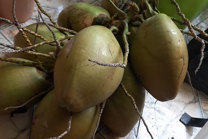 omars-river-tubing-from-montego-bay