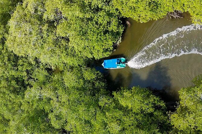 one-day-adventure-in-corcovado-national-park