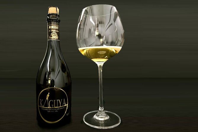 one-hour-wine-beer-and-mead-guided-tasting-in-costa-ricas-central-valley