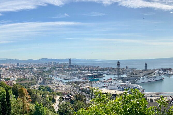 online-experience-zoom-around-panoramic-barcelona