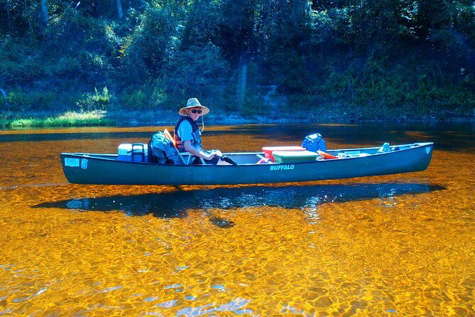 orlando-alligator-experience