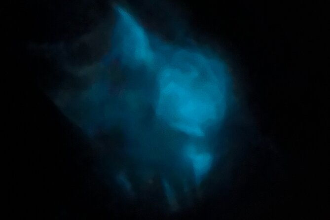 Orlando Bioluminescence Kayak and Swim Adventure