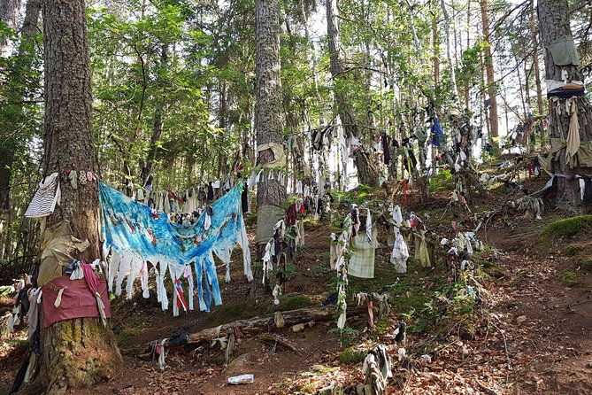 outlander-shore-trip-from-invergordon-cruise-terminal