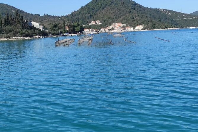 oysters-and-mussels-tasting-with-wine-in-ston-and-peljesac
