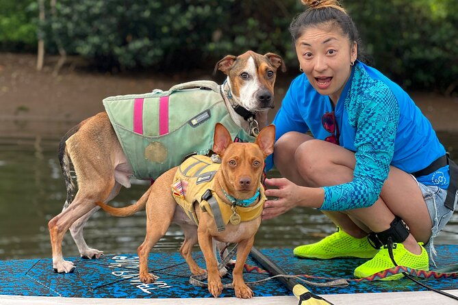 Paddle Board Haleiwa With Rescue Dogs