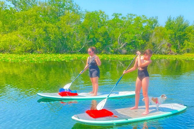paddle-with-pups-in-paradise-paddleboard-or-kayak-2