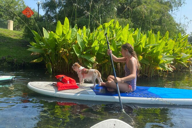 Paddle With Pups in Paradise - Paddleboard or Kayak