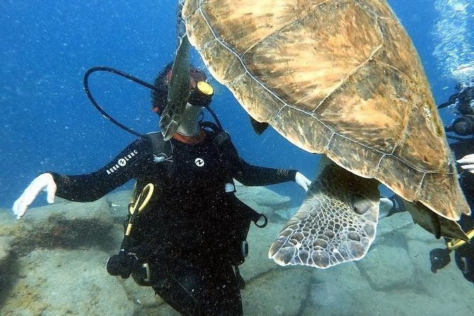 padi-scuba-dive-course-in-costa-adeje