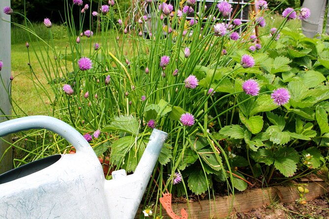 paris-countryside-dine-with-a-local-in-a-glade-at-an-old-house