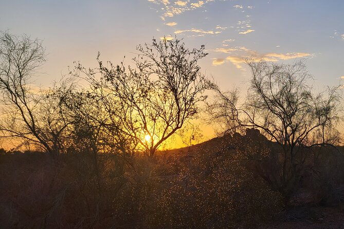 Peaceful Morning Walk: Guided Journey Through the Sonoran Desert