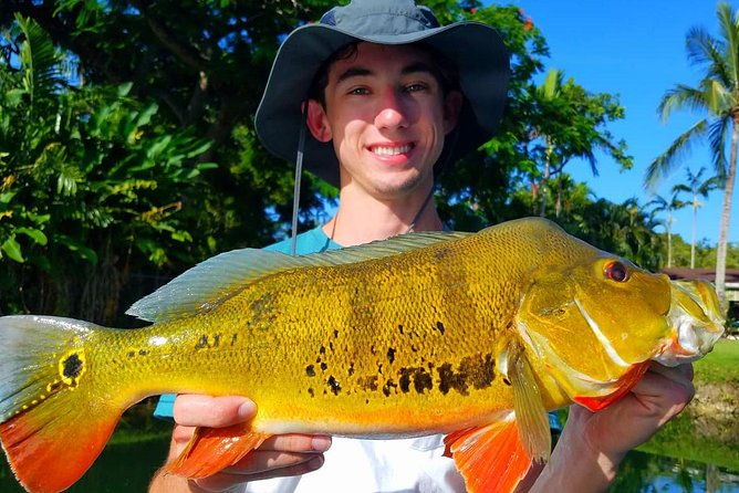 peacock-bass-fishing-trips-near-key-largo