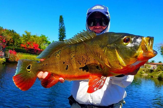 peacock-bass-fishing-trips-near-miami-florida