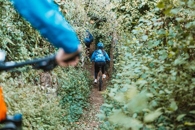 pedals-flavours-sorrento-oil-and-lemon-tour