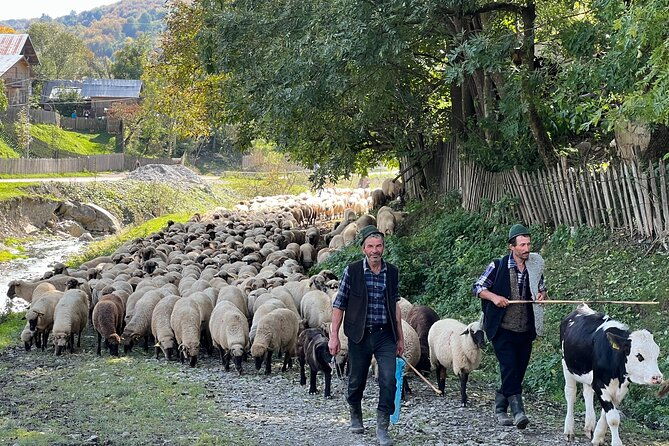 peles-castle-and-authentic-romanian-village-experience-day-trip