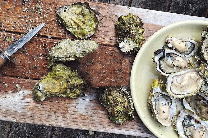 peljesac-wine-ston-oysters-private-half-day-shore-tour-2