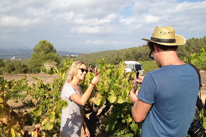 penedes-and-cava-winery-small-group-tour