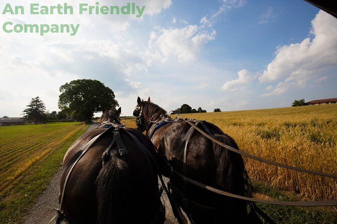 philadelphia-and-amish-country-1-day-tour-from-nyc-2