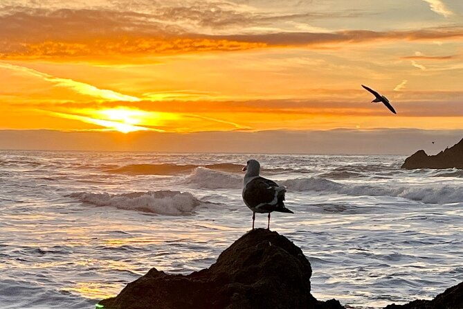 picture-your-best-sf-tour-ever-epic-bay-area-photo-adventures