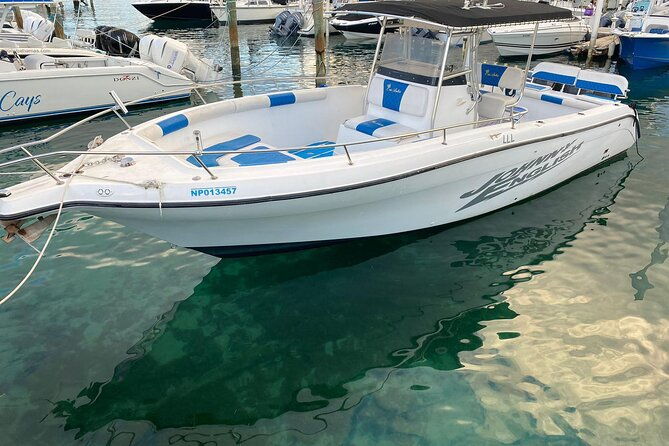 pigs-beach-green-turtle-cay-rose-island-private-tour