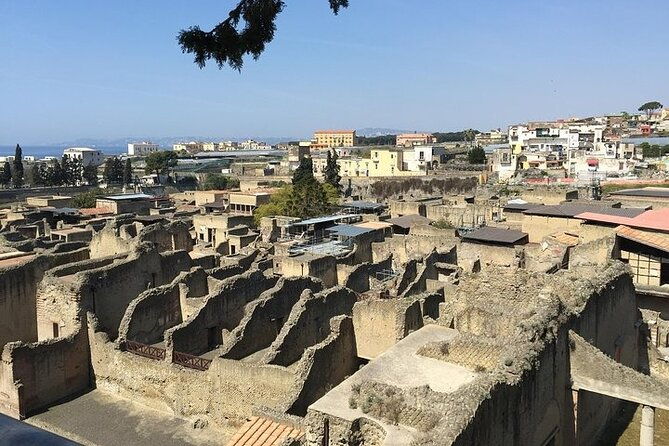 pompeii-herculaneum-wine-tour-with-licensed-guide-included