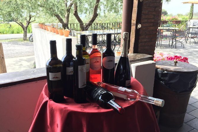 pompeii-vesuvius-wine-tour-from-sorrento-licensed-guide-included