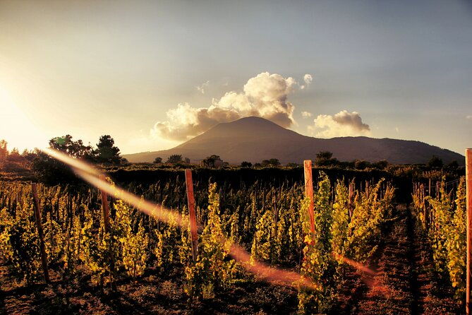 pompeii-with-wine-tasting-and-lunch-from-naples