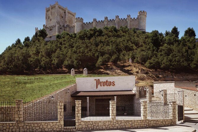 premium-ribera-del-duero-tour-with-winemaker-guide-2