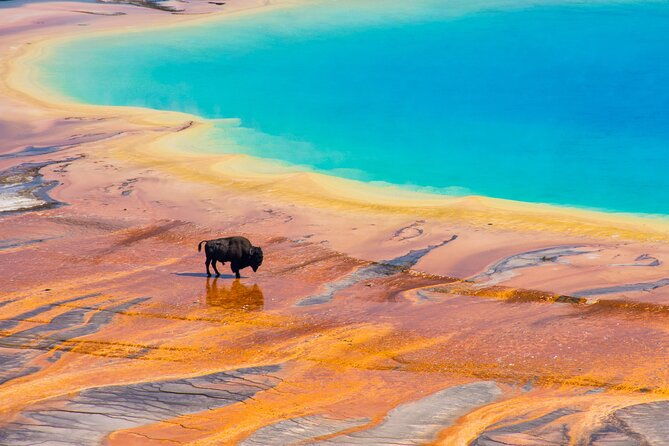 Private 2-Day Yellowstone Tour - Upper and Lower Loop