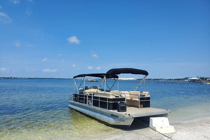 Private 2-Hour Dolphin and Sightseeing Tour