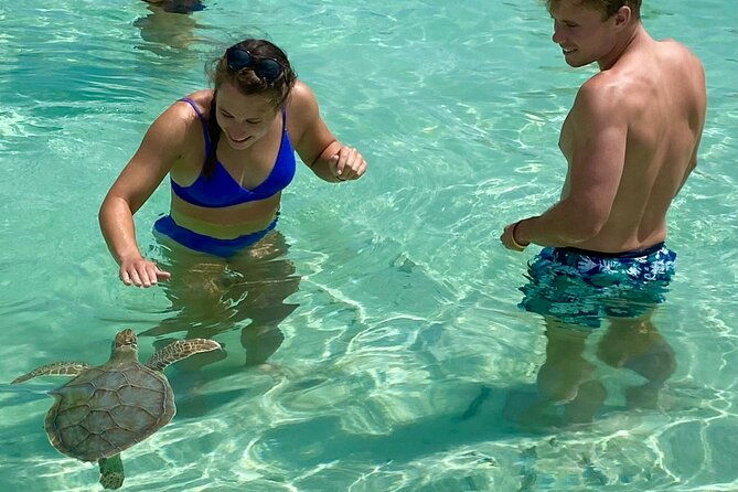 private-4-hour-rose-island-charter-snorkeling-turtles-beaching