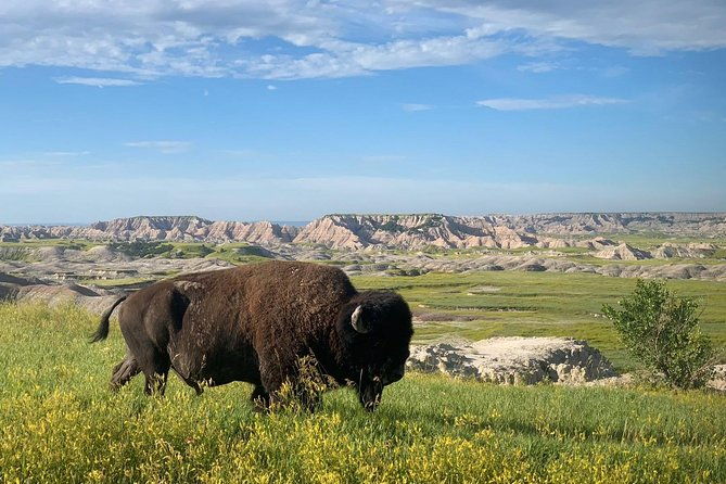 Private Badlands National Park Day Tour