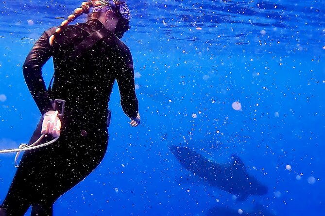 private-biologist-led-seafari-up-to-10-passengers