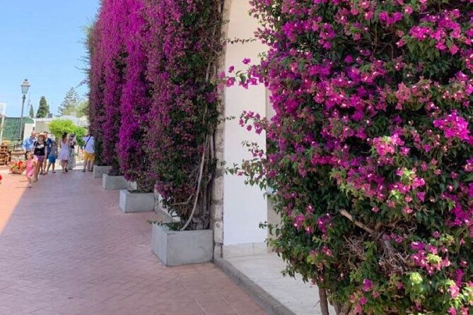 private-capri-and-blue-grotto-day-tour-from-sorrento