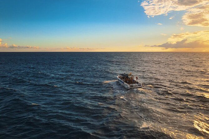 private-charter-3-hours-whale-encounter-puerto-colon-adeje