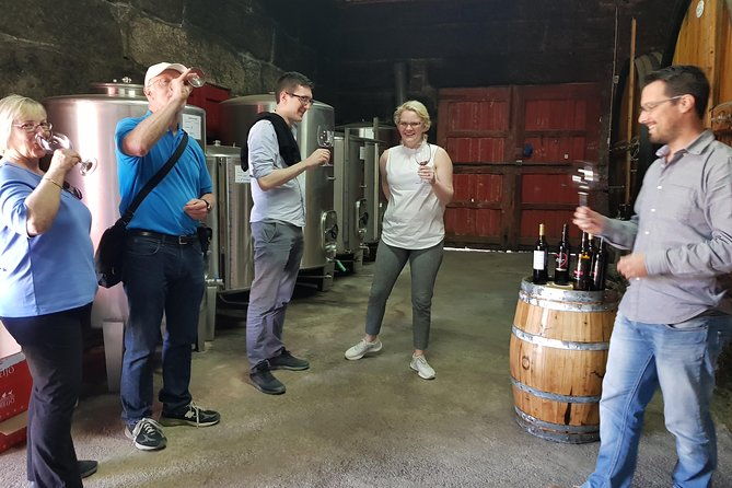 private-douro-valley-visit-to-three-vineyards-with-lunch-from-porto