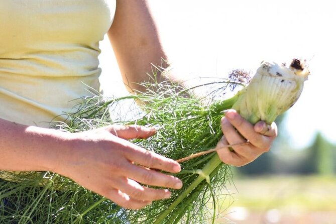 private-earth-experience-in-mendoza