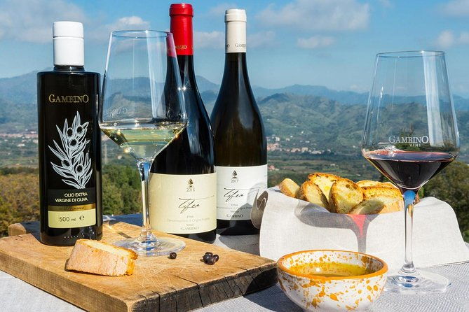 private-etna-tour-from-messina-cruise-terminal-lunch-at-winery